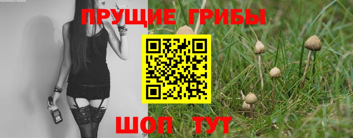 Галлюциногенные грибы Cubensis  Псилоцибиновые грибы Cubensis  Кумертау  Вход с VPN 
